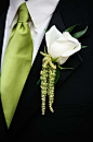 White rose and green hanging amaranthus boutonniere 