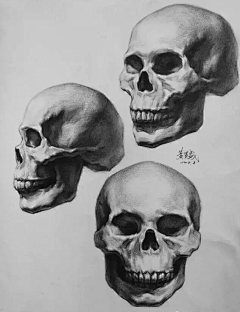 周画画采集到黑白线稿