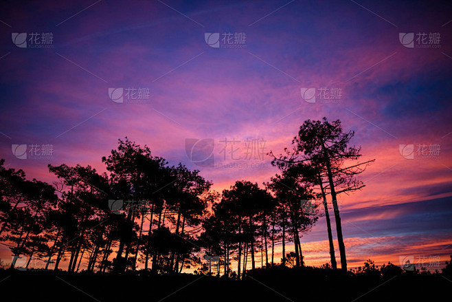 法国西南部朗德森林的日出