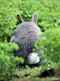 这只肥兔仔，又躲在那里装龙猫好萌的背影。。。(net)