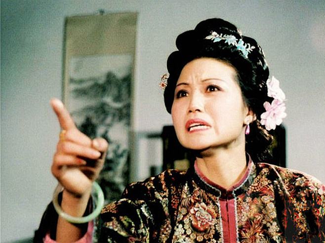 赵姨娘这人物身份极为特殊,她被称为是半个.