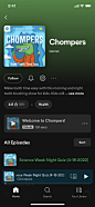 Spotify iOS 133