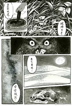 早稻ZAODAO的照片 - 微相册