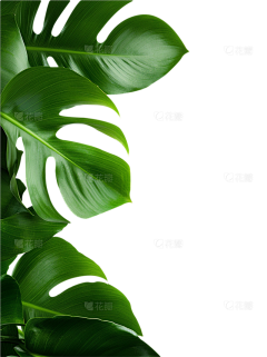 ACE夏天采集到· Brand ¦ 合图·场景