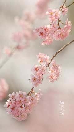 『沉眠』采集到sakura