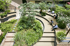 封平LA采集到屋顶花园