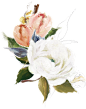 清新植物花朵美容水彩手绘花卉包装婚礼邀请卡PNG免抠图设计素材