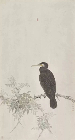 魏子默采集到中国画——花鸟