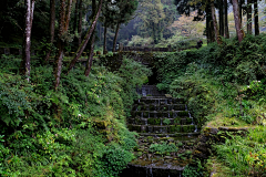 霁盍如采集到信息流-场景