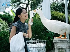 百度图片搜索_宫崎葵的搜索结果