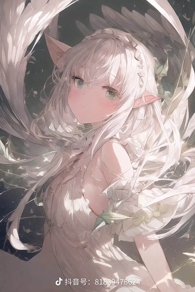来自分享