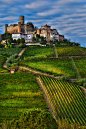 Casteglione Faletto, Langhe, Italy