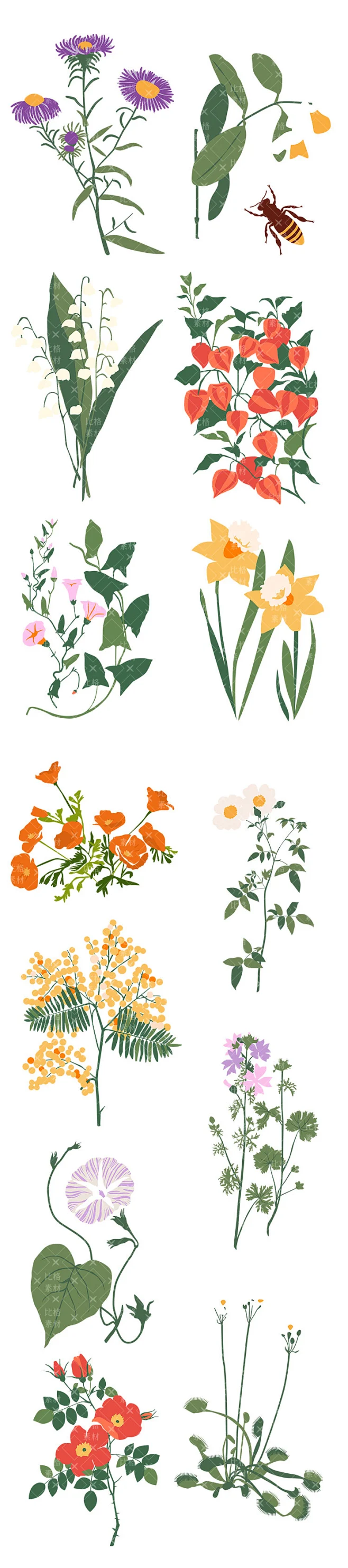 时尚复古手绘植物花卉插画矢量春天花朵插图素材AI免扣PNG (2)-花瓣网