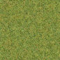 Grass0130 - Free Background Texture - grass short green seamless seamlessx seamlessy