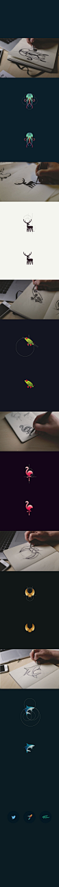 Animal Logos Vol 2 Art Direction, Branding, Graphic Design