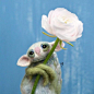 可爱的毛毡小动物 | 俄罗斯艺术家 Tyorka ​​​​