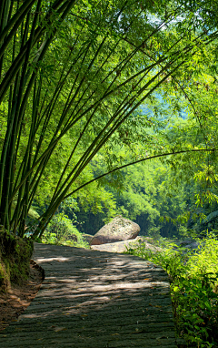 如水·心采集到心·路（桥）