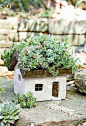 (via (1) Pin by Stephanie on Garden | Pinterest | Succulents, Little Houses and Planters) 