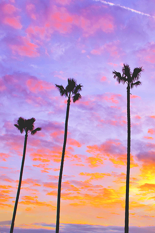 my dream Florida,my ...