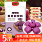 谷香园紫薯自发面粉杂粮粉包子馒头花卷发糕专用家用中筋面粉5斤-淘宝网