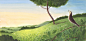 dandelion_18-19rev.jpg