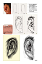 素描耳朵 (25)