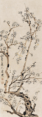 罗聘——《梅花》立轴欣赏  |  
清|罗聘(1733-1799)，"扬州八怪"之一。字遯夫，号两峰，又号衣云、花之寺僧、金牛山人、师莲老人等。祖籍安徽歙县，后迁扬州。为金农入室弟子，人物、佛像、山水、花果、梅、兰、竹等，无所不工，笔调奇创，超逸不群，别具一格。妻方婉仪，字白莲，亦擅画梅兰竹石，并工于诗。子允绍、允缵，均善画梅，人称"罗家梅派"。