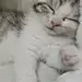 凨凪的杂货铺