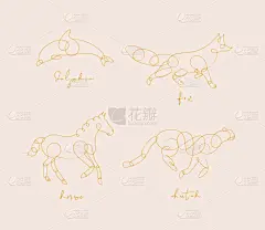 海豚,动物围栏,茶色,线条,单词,乐队,猎豹,凌乱,动物,狐狸