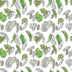 数码插画创意热带树叶
