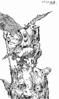 禅之助 插画作品欣赏