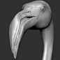 火烈鸟头3D模型