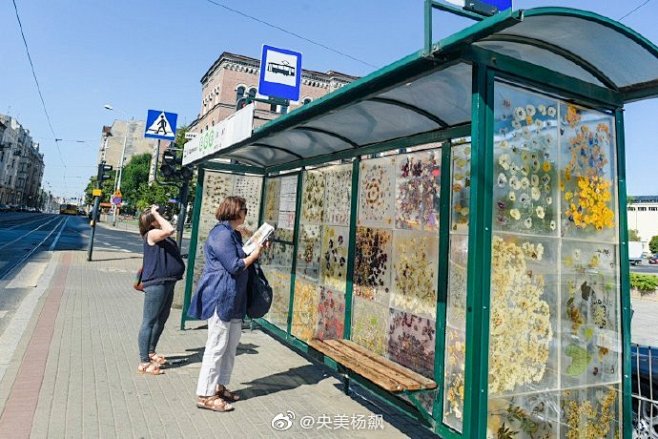 波兰电车候车亭的广告墙变成了干花图案的画...