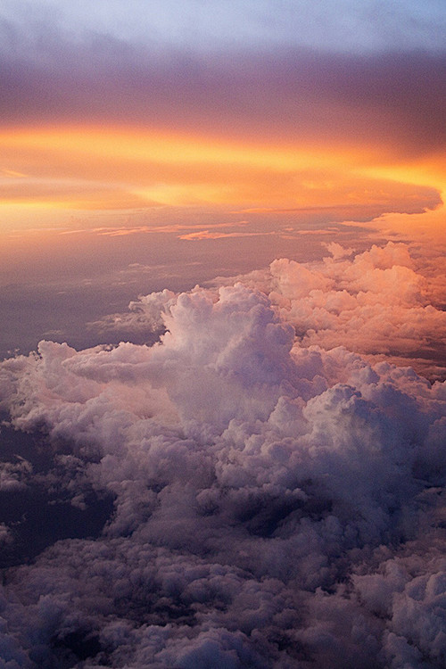 (50) Tumblr