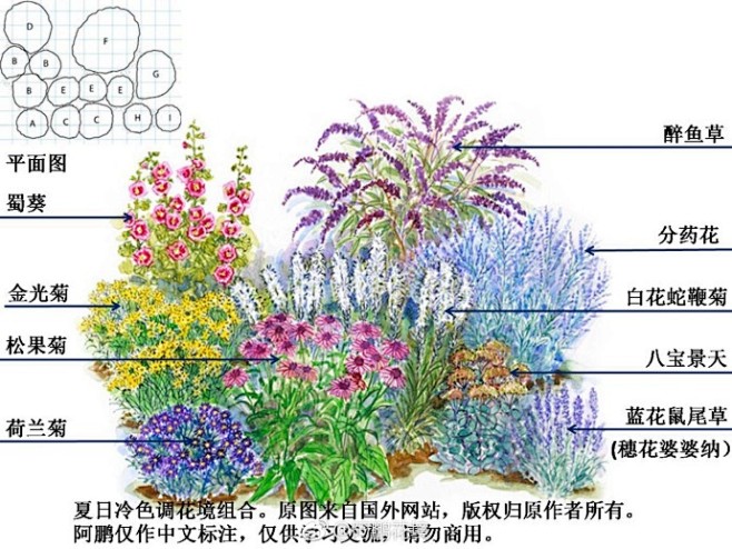 花境示例