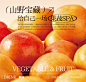 市场部-春夏菜单-画册-2024_画板 11