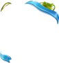 new_nk