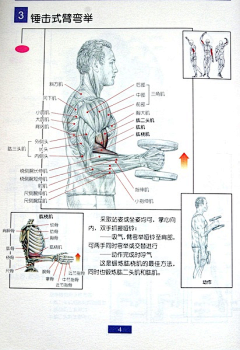 四节虾采集到健身