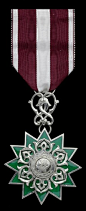 卡塔尔荣誉勋章（五级）