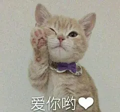 （2/8）本周末给大家更新一波猫咪表情包 喜欢的点个赞吧~ （仅供娱乐，原图自网络，版权属于原作者） ​​​​