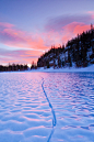 日出，冻湖湖，科罗拉多州