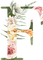 水彩清新花卉植物LOGO图标婚礼海报装饰透明免抠PNG图案装饰素材 (20)