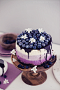 No Bake Ombre Curd Cheesecake With Blueberries