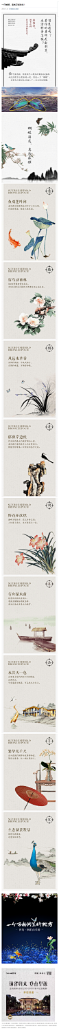 一只蝴蝶，造就双湖秘境！