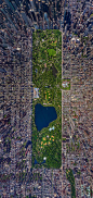 This is one of the coolest pictures of Central Park