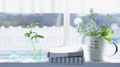 文艺小清新办公室绿色植物高清桌面壁纸下载http://www.kutoo8.com/