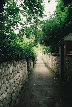 星星會說話采集到路無止景