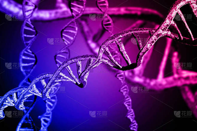 DNA链双螺旋遗传学三维图解