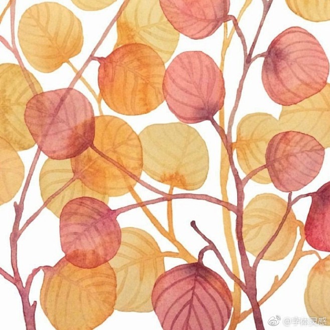 温哥华插画家Jen Lashek ​​​...