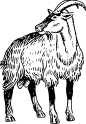 各类黑色剪影镂空动物图案装饰免扣透明PNG AI印刷矢量设计PS素材 (102)